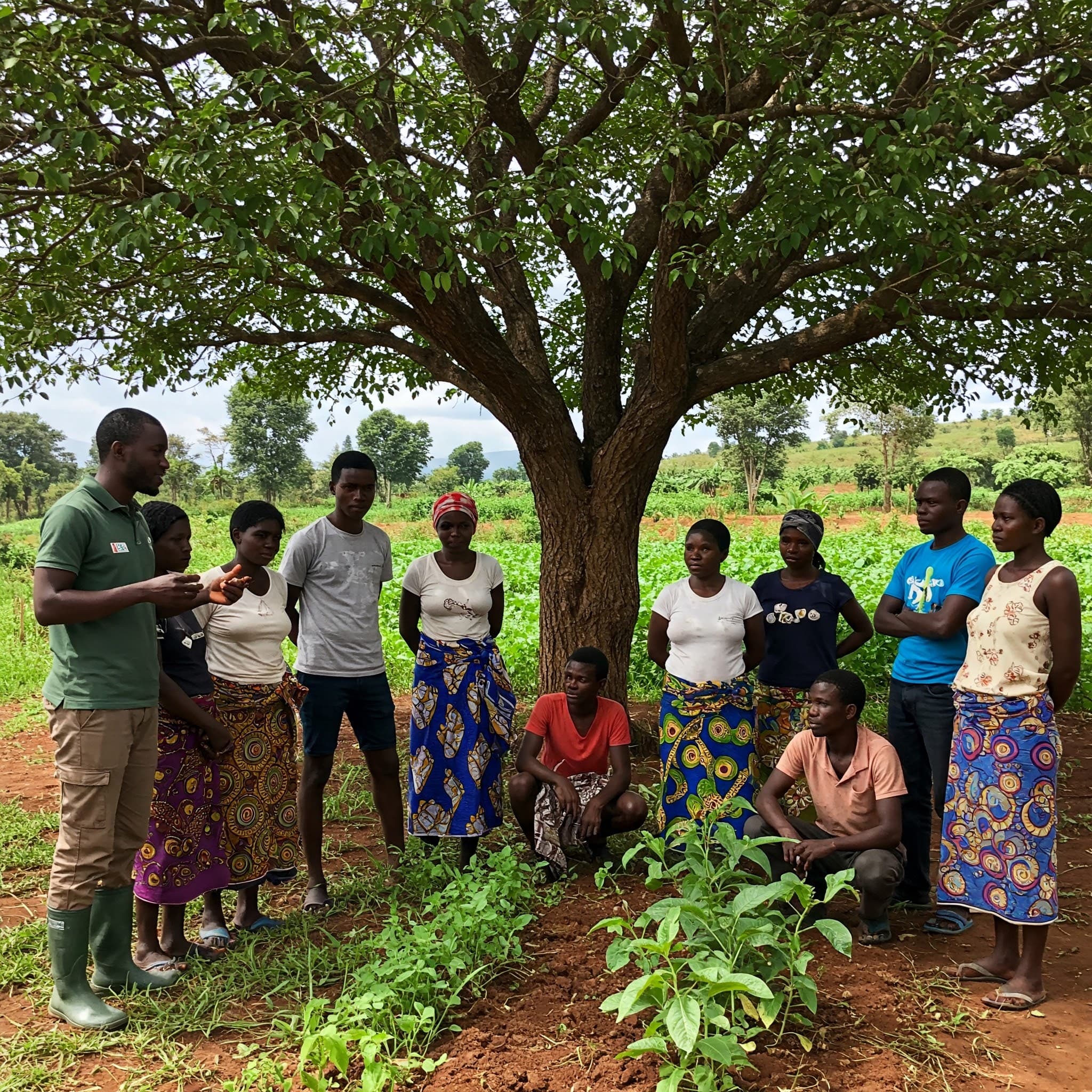 Diverse group of African farmers working together